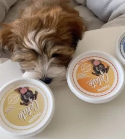 Fidovet Makupalat^koirien jäätelö Gelato Ananas 40g