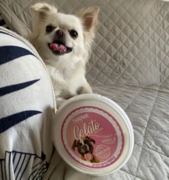 Fidovet Makupalat^koirien jäätelö Gelato vanilja 40g