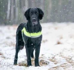 FinNero Vilkkuvalot Ja Huomiotuotteet^ATTE huomioliivi, XL, neonkeltainen