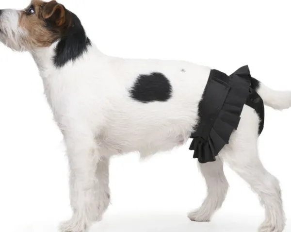 FinNero BALLERINA narttujen juoksuhousut, L, musta| Narttujen Ja Urosten Suojat