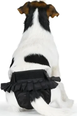 FinNero BALLERINA narttujen juoksuhousut, L, musta| Narttujen Ja Urosten Suojat