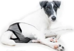 FinNero BRENDA narttujen juoksuhousut, M-XL, tummanharmaa| Narttujen Ja Urosten Suojat