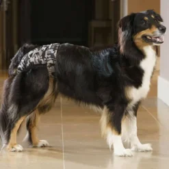 FinNero BRENDA narttujen juoksuhousut, M-XL, tummanharmaa| Narttujen Ja Urosten Suojat