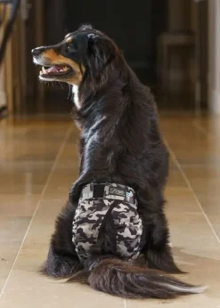 FinNero BRENDA narttujen juoksuhousut, M-XL, tummanharmaa| Narttujen Ja Urosten Suojat