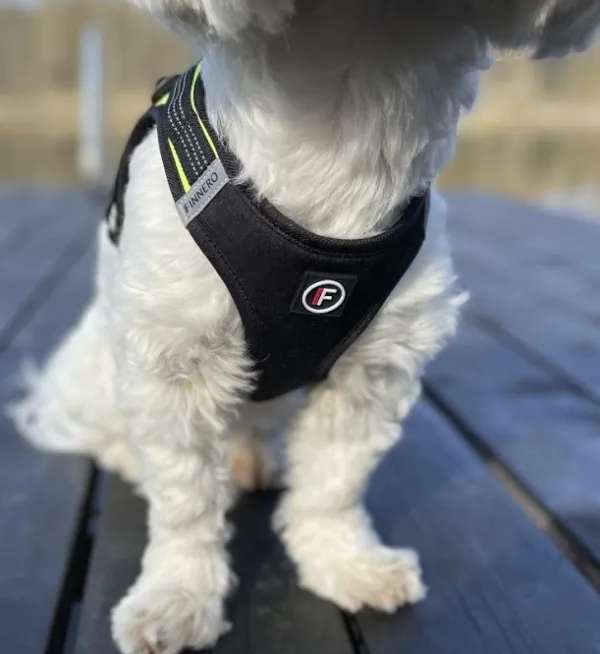 FinNero Valjaat^HALI liivivaljaat, S, musta/keltainen