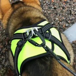 FinNero Valjaat^HALI liivivaljaat, S, musta/keltainen