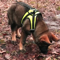 FinNero Valjaat^HALI liivivaljaat, S, musta/keltainen