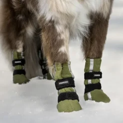 FinNero Koiran Tossut^Hundsko HALLA koiran tossut, XL, 4-pack, Reflex Grön