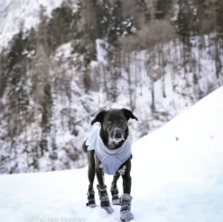 FinNero Koiran Tossut^Hundsko HALLA koiran tossut, M-L, 4-pack, Reflex Grå