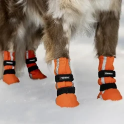FinNero Hundsko HALLA koiran tossut, XL, 4-pack, Reflex Orange| Koiran Tossut