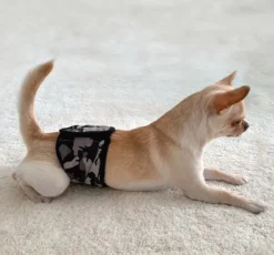 FinNero Narttujen Ja Urosten Suojat^JustinCase urossuoja, L, camo