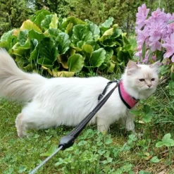 FinNero LIGHT Reflective Harness Black S| Valjaat