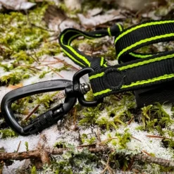 FinNero Taluttimet^POWER talutushihna jousto-osiolla, musta/keltainen