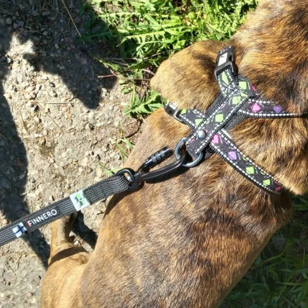 FinNero Taluttimet^RESCUE luistamaton talutushihna, 1,5 cm, musta