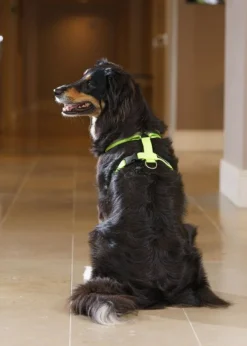 FinNero Valjaat^SALO valjaat, L, neonkeltainen