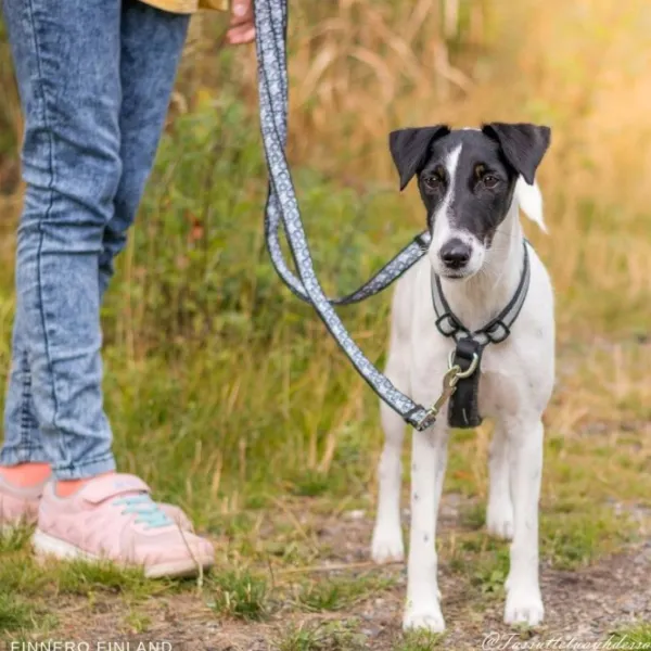 FinNero Valjaat^SALO valjaat, S, musta