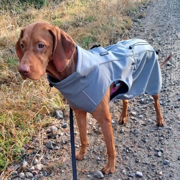 FinNero Sadetakit^Softshelltäcke Sport Grey 45 cm