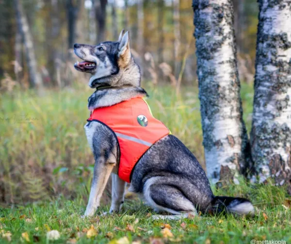 FinNero UKKO huomioliivi, S, punainen/keltainen| Liivit