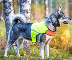 FinNero UKKO huomioliivi, S, punainen/keltainen| Liivit