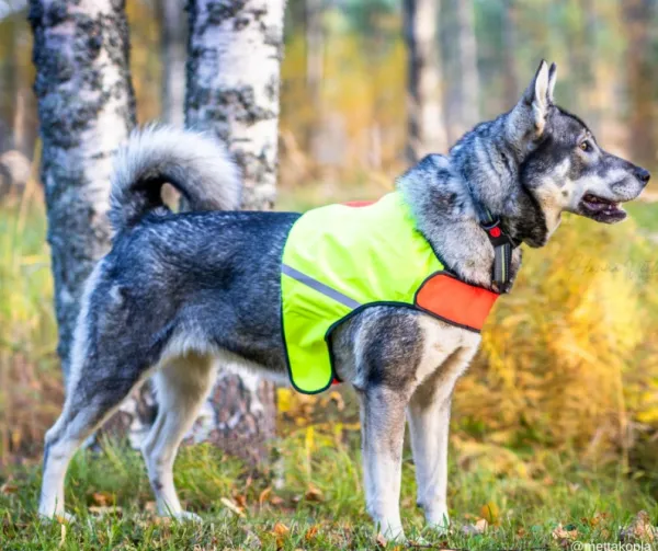 FinNero UKKO huomioliivi, S, punainen/keltainen| Liivit