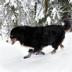 FinNero HALLA LUX tossut, XL, 2kpl, harmaa| Koiran Tossut