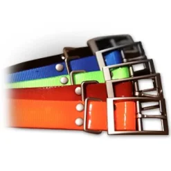 Garmin 1 tuuman kaulapanta, oranssi| Koiratutkat