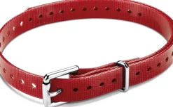 Garmin Kaulapanta T5 Mini Punainen (Rullasolki)| Koiratutkat