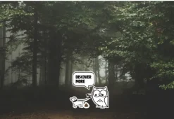 GP Lighting GP Discovery C32 Lupus taskulamppu, 300 lm| Taskulamput