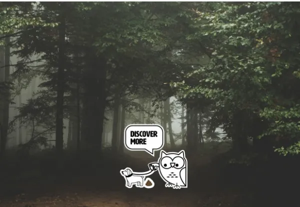 GP Lighting GP Discovery C32 Lupus taskulamppu, 300 lm| Taskulamput