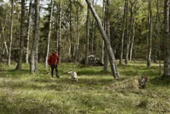 Härkila Koiranohjaajan Vaatteet^Kamko Windstopper -fleecetakki, punainen/ruskea