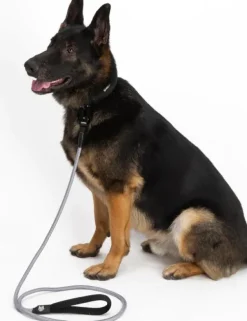 Hundra köysitalutin, harmaa| Taluttimet