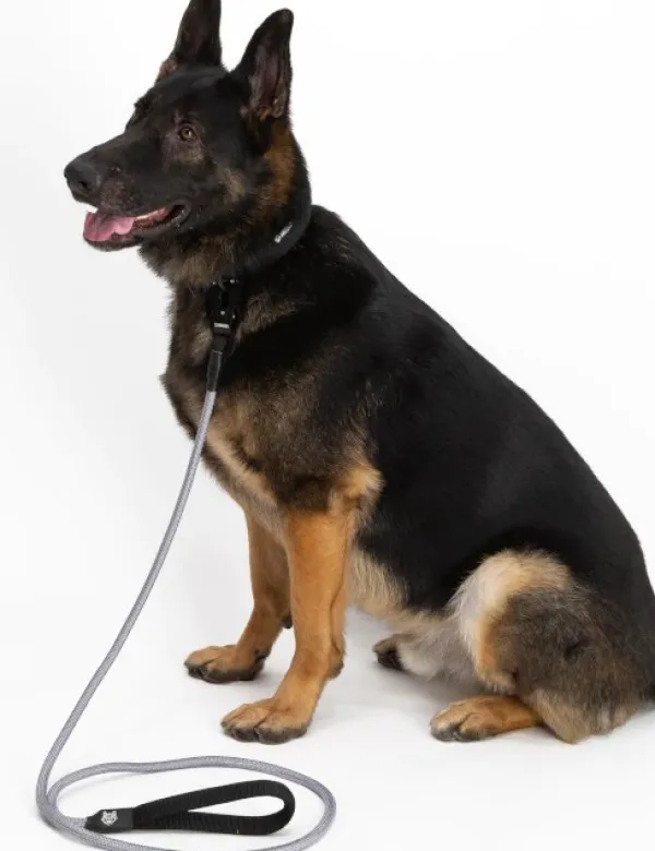 Hundra köysitalutin, harmaa| Taluttimet