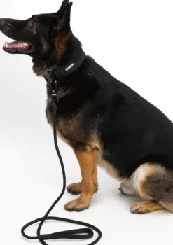 Hundra köysitalutin, musta| Taluttimet