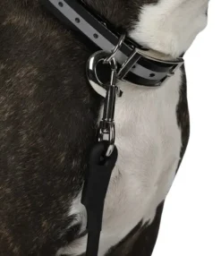 Hundra Training Leash pyöreä jälkiliina| Jälkiliinat