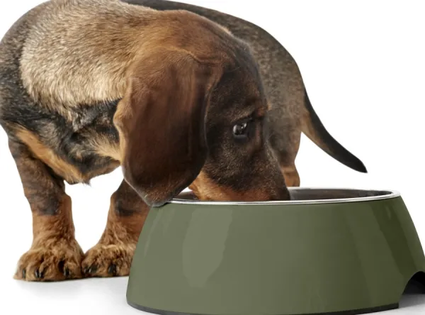 HUNTER Bowl Melamin koirankuppi, 350 ml, Khaki| Koirankupit