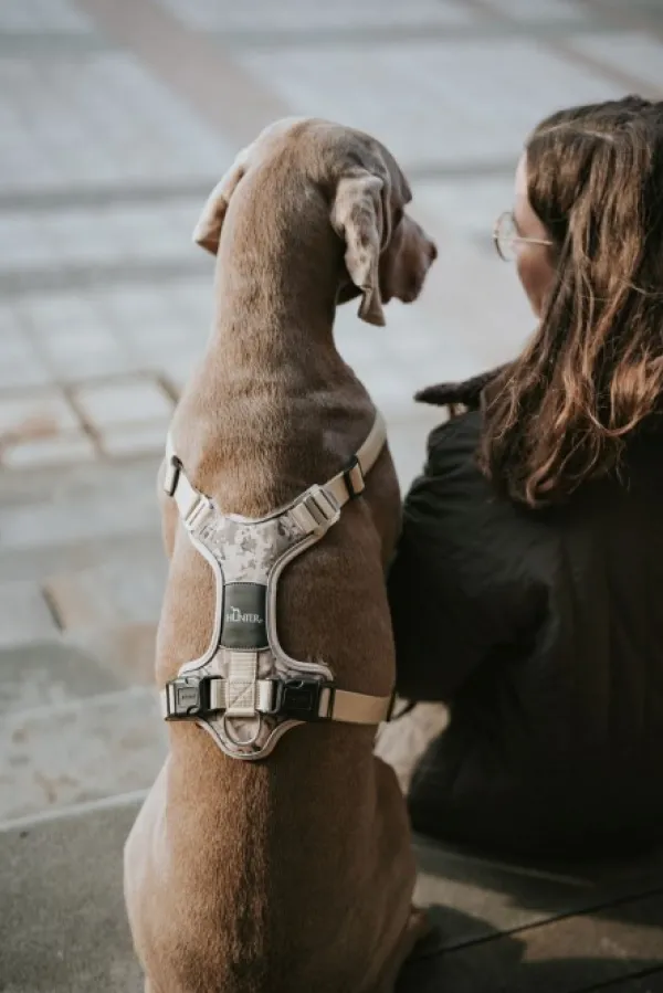 HUNTER Harness Divo valjaat, 79-107/L-XL, Camouflage Beige| Valjaat