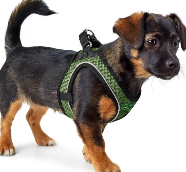 HUNTER Harness Hilo Comfort valjaat, S-M, Dark Green| Valjaat