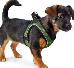 HUNTER Harness Hilo Comfort valjaat, S-M, Linden Green| Valjaat