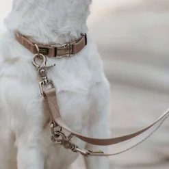 HUNTER Kaulapannat^Inari Collar Alu-Strong koiran kaulapanta, 40-55 cm, Tan