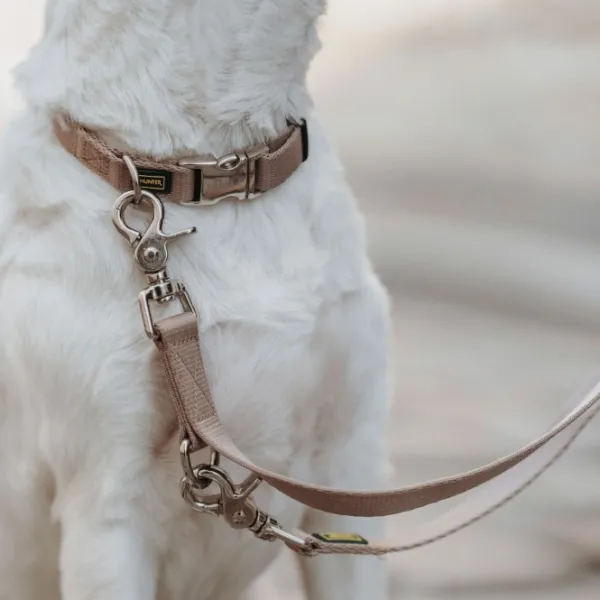 HUNTER Kaulapannat^Inari Collar Alu-Strong koiran kaulapanta, 40-55 cm, Tan