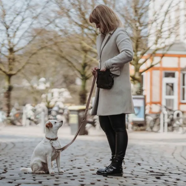 HUNTER Kaulapannat^Inari Collar Alu-Strong koiran kaulapanta, 40-55 cm, Tan