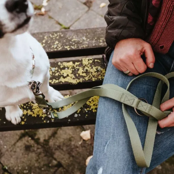 HUNTER Inari T-Leash koiran talutushihna, 20/200 cm, Linden Green| Taluttimet