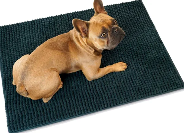 HUNTER Tyynyt Ja Peitot^koiran kuramatto, tummanharmaa, M