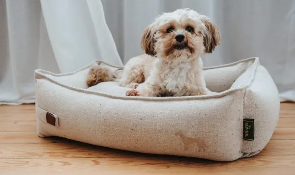 HUNTER Sofa Belluno koiranpeti, 80x60 cm, Beige| Koiranpedit