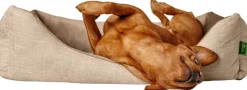 HUNTER Koiranpedit^Sofa Orthopedic Seattle koiranpeti, 60x40cm, Beige