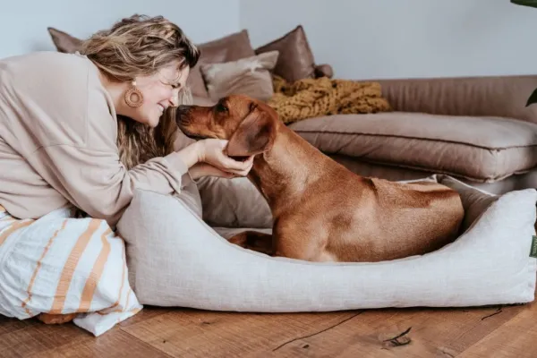 HUNTER Koiranpedit^Sofa Orthopedic Seattle koiranpeti, 60x40cm, Beige