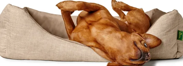 HUNTER Sofa Orthopedic Seattle koiranpeti, 80x60 cm, Beige| Koiranpedit