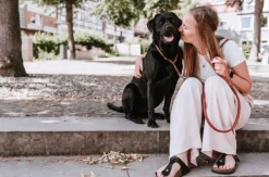 HUNTER T-Collar R&S Canadian UP puolikuristava kaulapanta, L-XL/60, Cognac| Kaulapannat