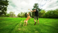 HUNTER Toy Dog Flingerz Ball Thrower heittovarsi lelulla| Noutolelut