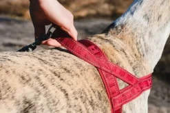 Hurtta Valjaat^Casual Harness ECO valjaat, 30 - 55 cm, minttu